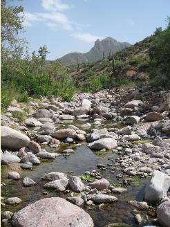 Pine Creek